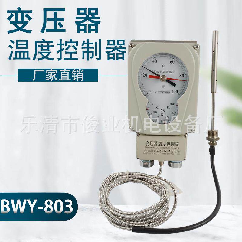 温度指示控制器BWY-803AGTH变压器温度控制器温度指示器温控仪802