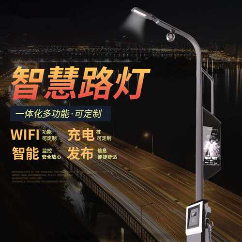 支持现做多功能智慧城市路灯新款太阳能乡镇马路照明智慧路灯