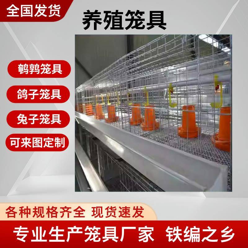 鹌鹑养殖场专用笼鹌鹑产蛋活鸟专业阶梯式1.8米带食槽鹌鹑饲养笼