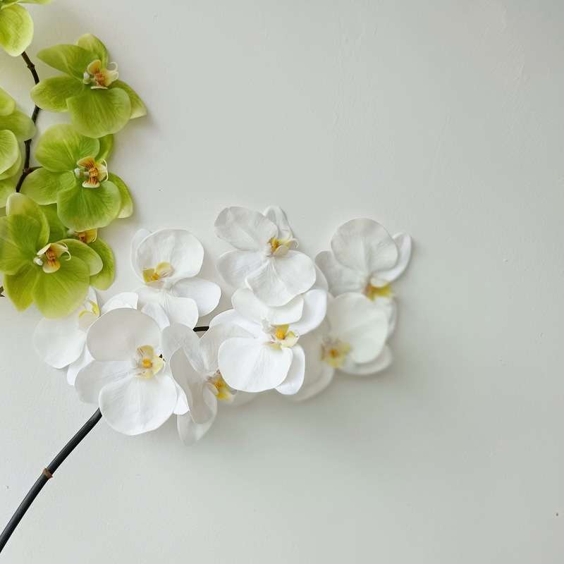 高质8头仿真白色绿色蝴蝶兰 软装花艺设计装置拍摄道具家居样板间