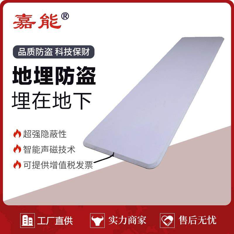 嘉能热销地埋防盗器 超市服装店铺商品防盗门声磁报警器隐形AM048