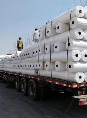 加厚纯色照相摄1影布反拍摄棚影光楼单背景无486纺布3X色00米绿色