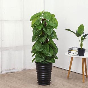 仿真树饰塑料花绿植大型客厅落栽地盆景室GRA音内盆滴水观装 绿萝