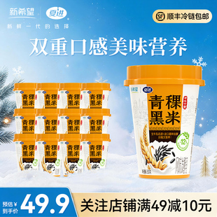 夏进青稞黑米酸奶双重有料230g*12盒代餐酸奶营养美味