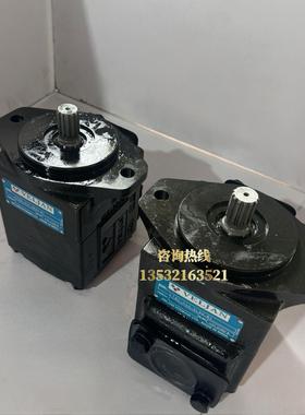 印度VELJAN液压泵 维京叶片泵VT6C-014-3R01-B1 VT6C-022-3L00-B1