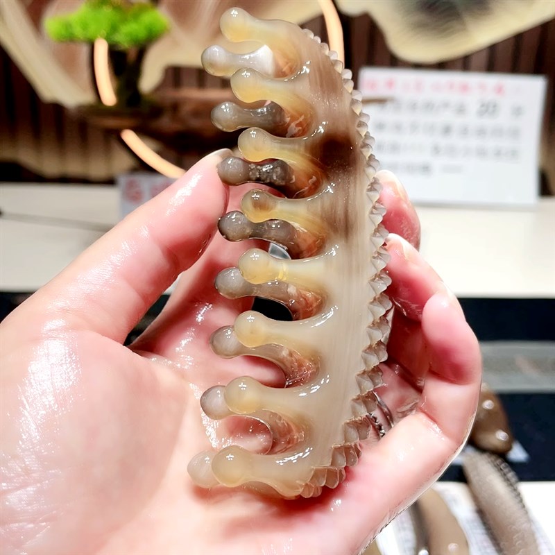 白水牛角梳刮痧梳头部疏通全身经络梳头疗梳五齿双排齿按摩梳脸梳