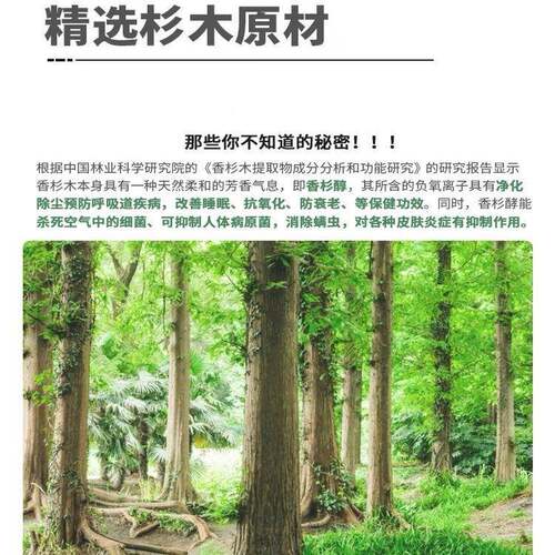 木实木床硬522板板整块加厚杉床板铺垫片木板床垫护脊椎护腰硬床