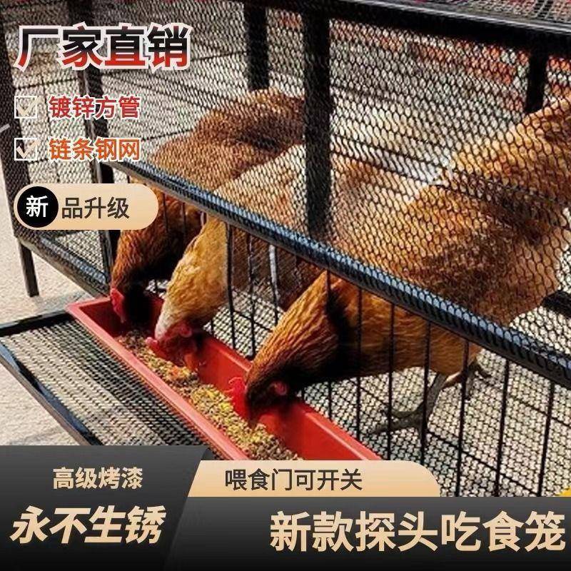 家用不烂食加厚加HGC密笼子可笼外喂外放食槽鸡厂家直可销鸡鸭鹅