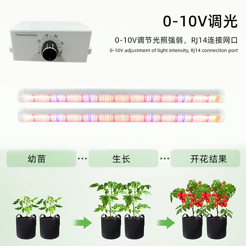 植W物光灯管120红柿黄瓜葡DBX萄西草莓蔬菜大棚藤架补种植育苗生