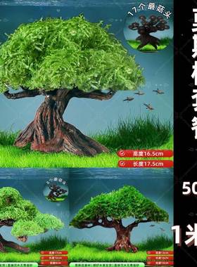 斯树tb-97537底鱼缸树树真沉木水草懒人造景无莫需沙大蘑菇头鱼缸