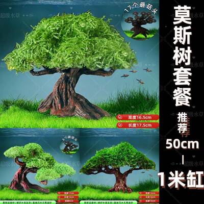 斯树tb-97537底鱼缸树树真沉木水草懒人造景无莫需沙大蘑菇头鱼缸