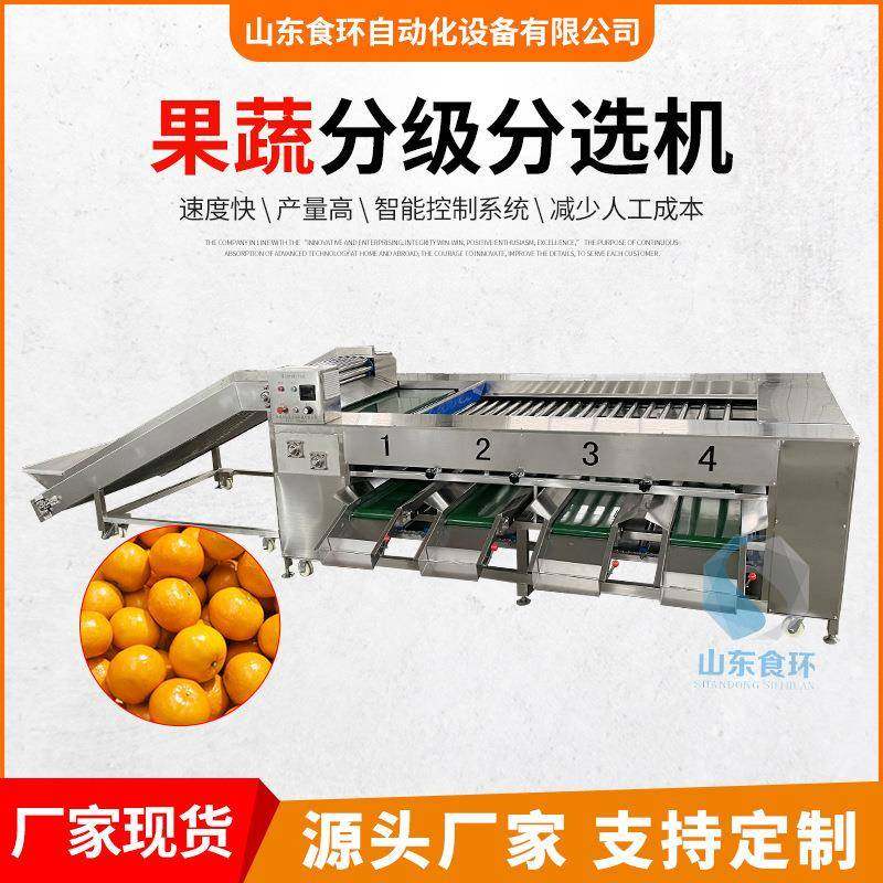 全自动果蔬重量分选机 商用滚杠式红薯橙子分级 土豆羊肚菌分级机,3C数码配件,其它配件,淘宝优惠券,粉丝福利购,淘宝优惠卷