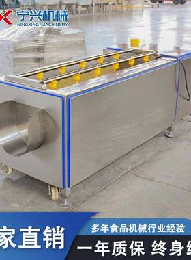 清宁兴多功紫薯毛刷洗机型全自动甜菜清洗设备小毛辊能清98210洗机