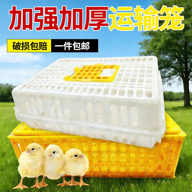 鸡鸭运输笼鸡笼周转箱鹅笼子特大号加厚装鸡养殖笼家禽塑料转运筐