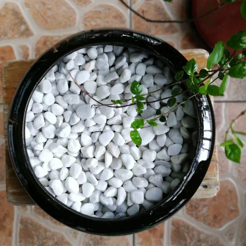 鹅卵石雨花石原石天然小石子鱼缸花盆鹅软石装饰盆栽园艺五彩石头