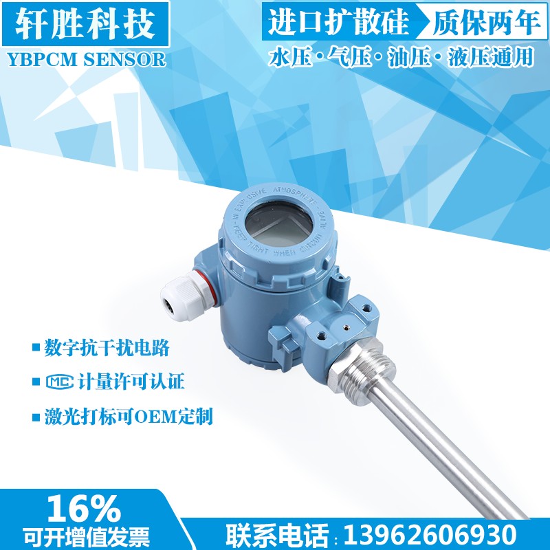 PCM21 金属铠装式液位变送器 直插式 插入式 液位变送器 传感器