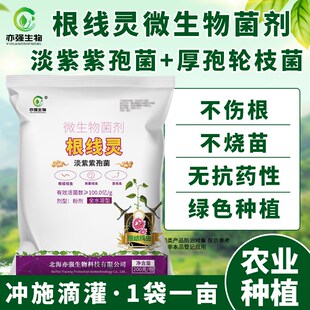 100亿/克根线灵淡紫拟青霉微生物菌活菌减少作物根结线虫菌剂