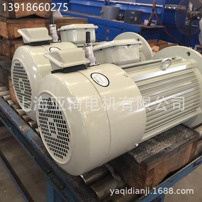 MOTORS/ Motors电机