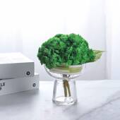 现代简约仿真米仔果多肉植物花艺绿植桌面摆件家居酒店民宿样板房