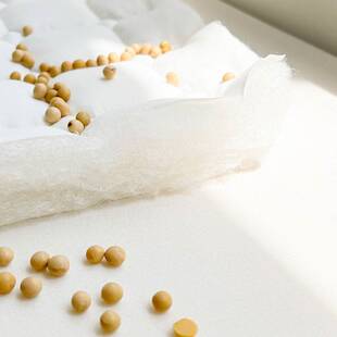 四季可用床垫软垫家用床褥垫薄款褥子保护垫铺底垫褥 隔脏保护罩