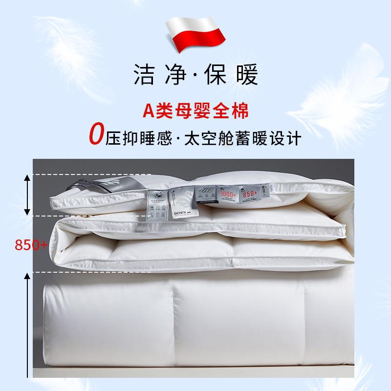 波兰95白鹅绒被芯mySS-202%12季A0支纯棉全棉类春秋冬天羽绒被子