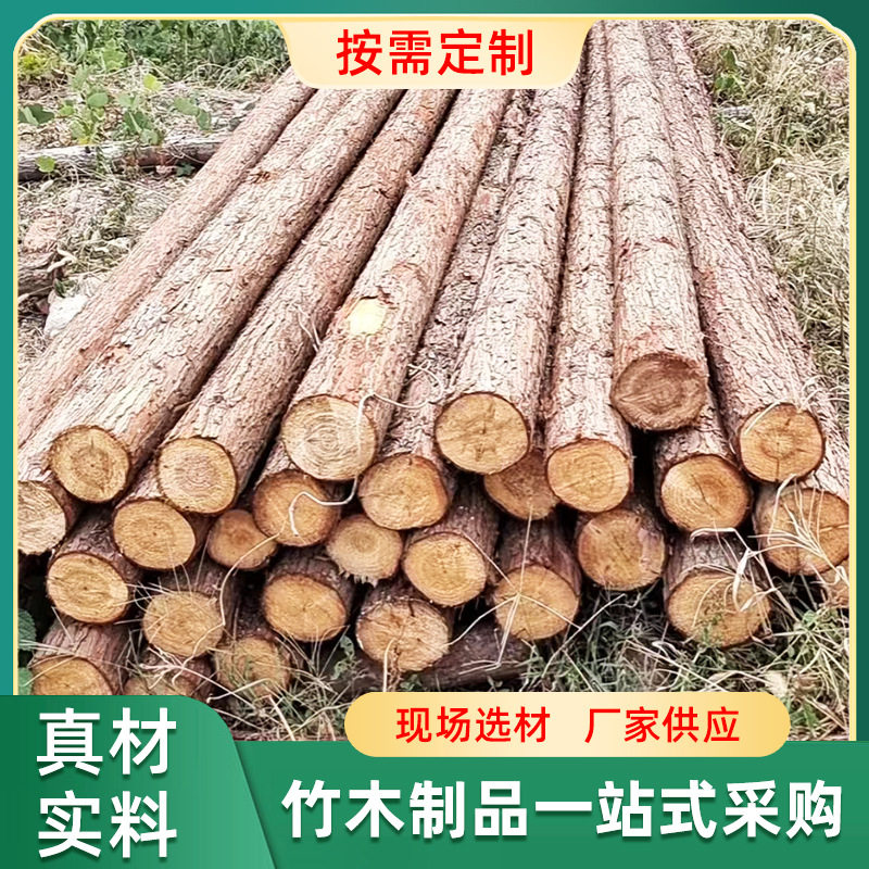 杉木原木檩条工地项目杉木桩削尖尺寸可定河道治理绿化木杉树现货
