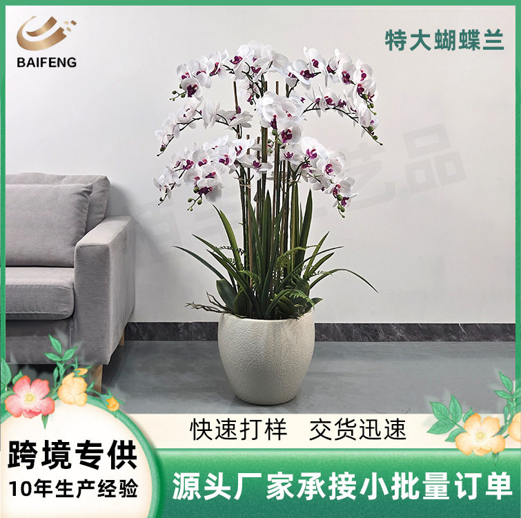 特大蝴蝶兰仿真花精致家居装饰复刻真花神韵多色可选适配多元场景