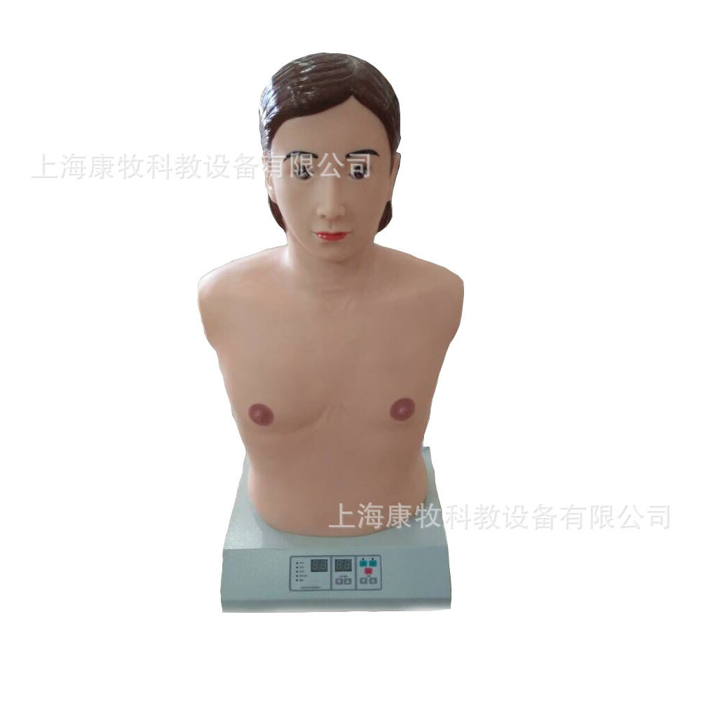 心肺触诊听诊电脑模拟器（单机版）