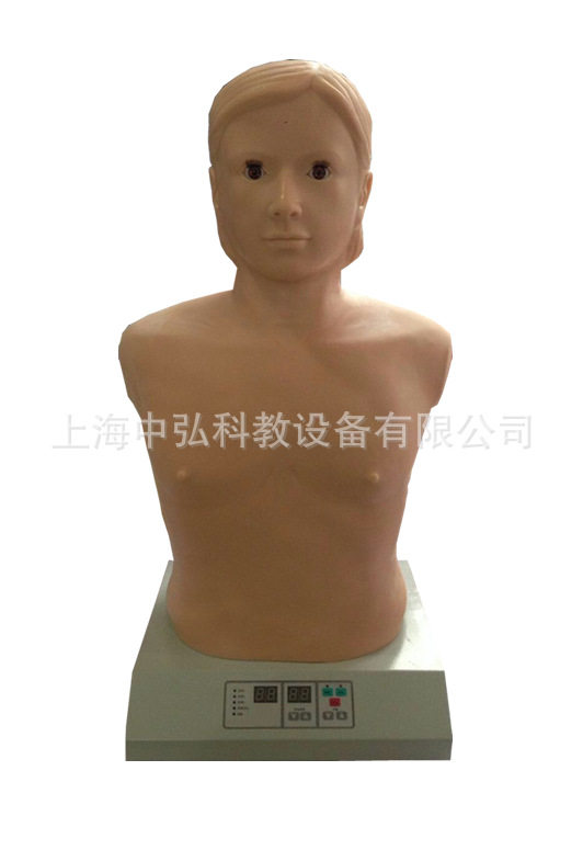 心肺听诊触诊电脑模拟人 半身体格检查教学模型 心肺触诊听诊器