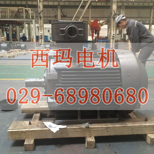 供应西玛牌YGM2280M-6/55KW 通风机用小型电动机