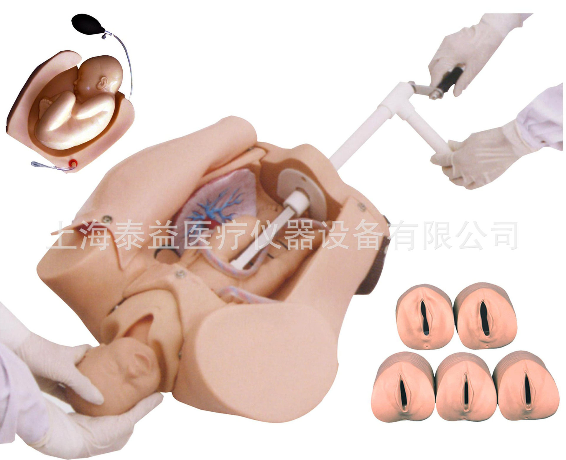 全科医生/高级腹部触诊、分娩机转综合模型GD/F54（全科医生）