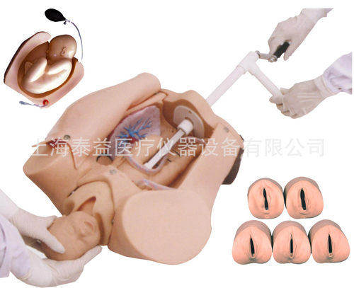 全科医生/高级腹部触诊、分娩机转综合模型GD/F54（全科医生）