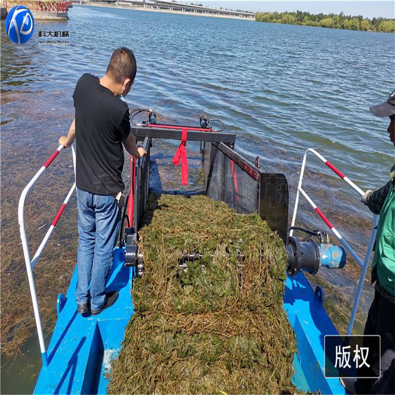 水浮莲收割船厂家 杭州清理河中水草 盐城清理打捞河中水草的工具
