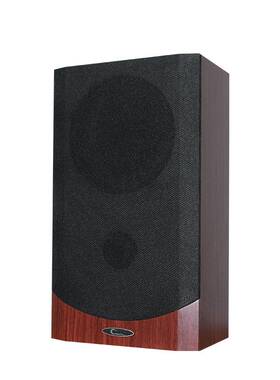 CTRLPA CL932 背景音乐系统 壁挂音响室内音箱 二分频音箱