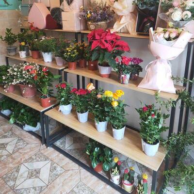 花架鲜简多肉TVP落地艺式花盆架展示架铁花店室内花客厅约阳台置