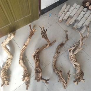 枯木树枝爬宠造景木霸王藤木热带鬃狮蜥蜴守宫睫角蛇攀爬造型树桩