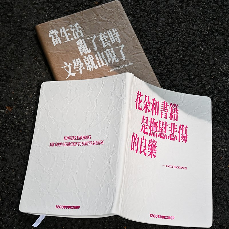 00 笔记本本子空白加厚5笔记本手帐本女孩与一本书不期而遇