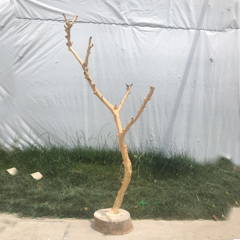 干树枝原木去皮枯树干衣架艺术造型干枝摆设创意家居摆件装饰树杆