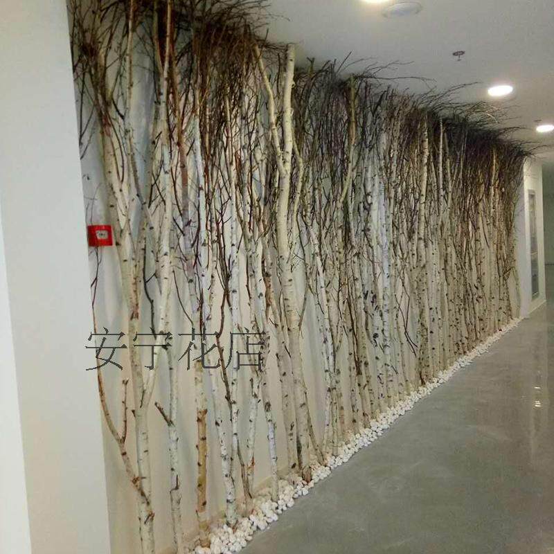 白桦树干艺术装饰白桦树屏风树干白桦树枝树杈干树枝隔断客厅橱窗