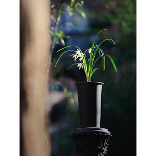 轻奢东门11号紫砂透气兰壶汗泥壶泉兰凉兰壶玉兰莲花花瓣兰壶