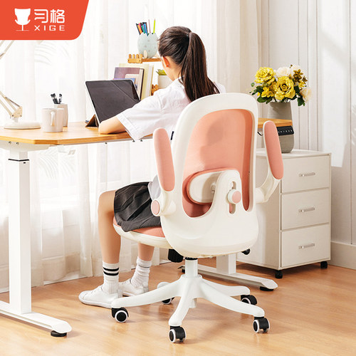 习格学生椅家用书房书桌学习椅子小空间靠背写字椅升降写作业凳子