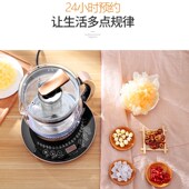 养生壶大容量家用多功能2升3升煮茶壶煮水炖煮一体2023新款 熬药