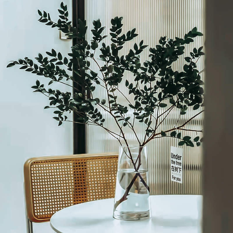 马醉木花瓶玻璃高款插花长枝插树枝干枝水养落地植物瓶子花器