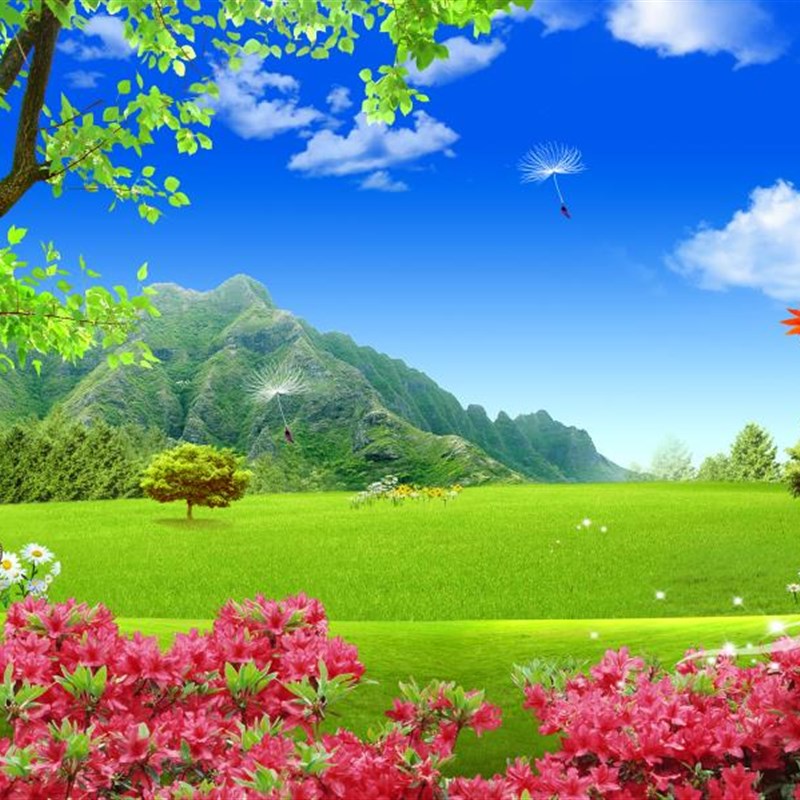 FJ1090定制高清环保靠山草地红叶墙布蓝天白云电视沙发背景墙壁画