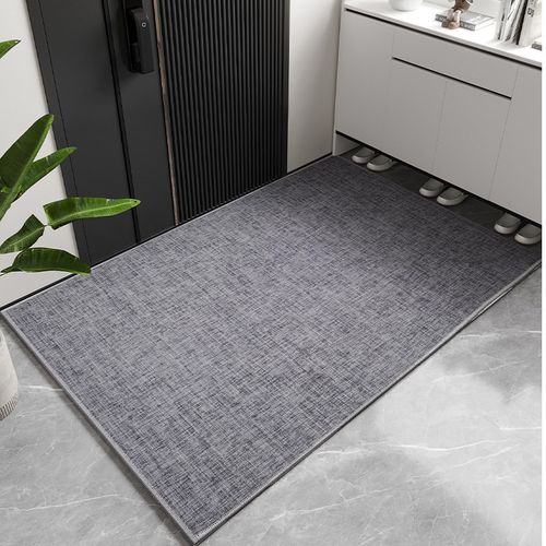 超薄雪尼尔日系入户门口防滑地垫4MM不卡门耐脏吸水家用定制地毯