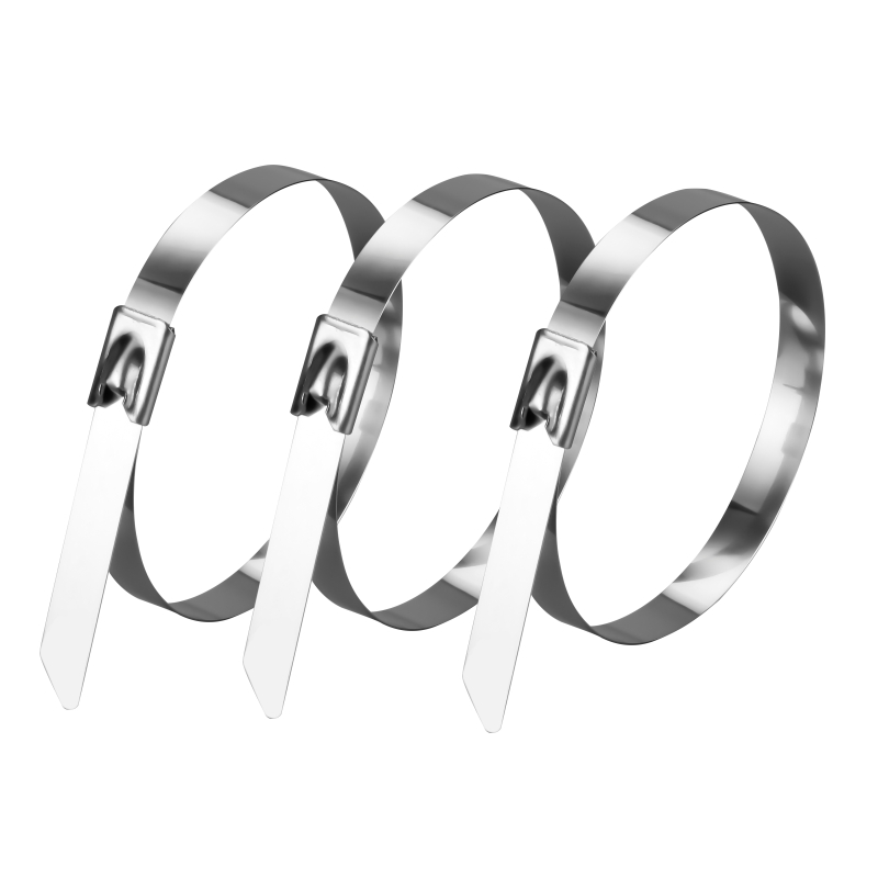 30不锈钢紮带10*00自锁式耐高温金属紮带扣式束线带大号超长