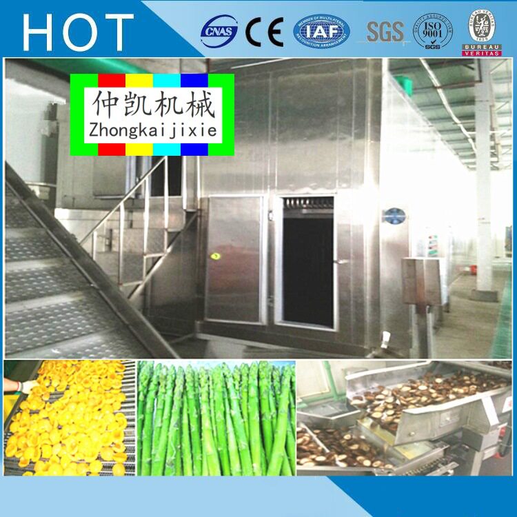 自动化流态化速冻机浮动式单冻机红萝卜丁片草莓芒果桃子刺梨速冻