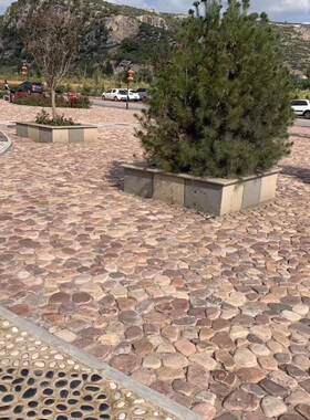 河卵石切片面包石摆园林公园河卵石ZOP瓶生态造景鹅卵石微观件景