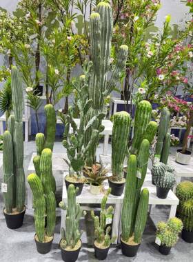 仿真掌WDT仙人巨仙人掌墨西哥仙人柱沙漠假绿型植盆栽橱窗造景布