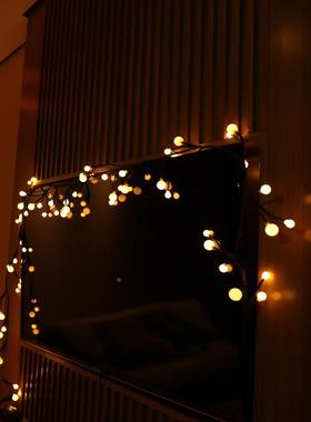 led24V防低压灯串树造型枝灯户DLZ外水黑色藤条圆球彩外灯海新品